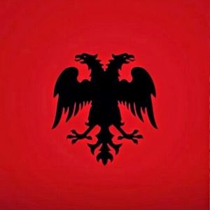 Meet your Posher, Enis