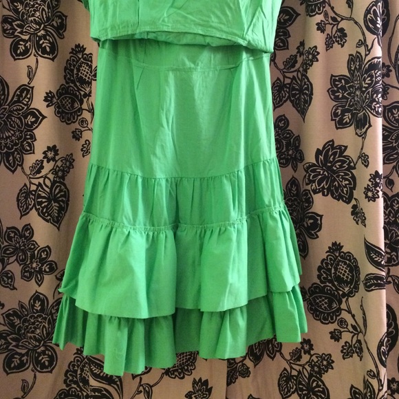 Lilly Pulitzer Dress - Picture 3 of 4