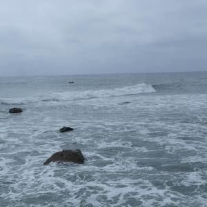 Meet your Posher, Jolene