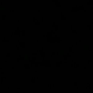 Meet your Posher, Destiny