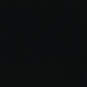 Meet your Posher, Shayna