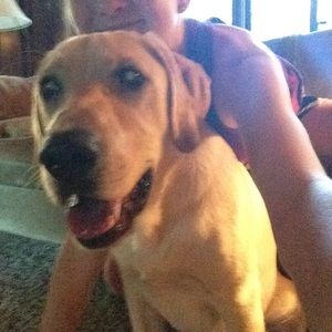 Meet your Posher, Della