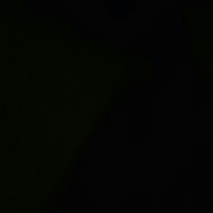 Meet your Posher, Isabel