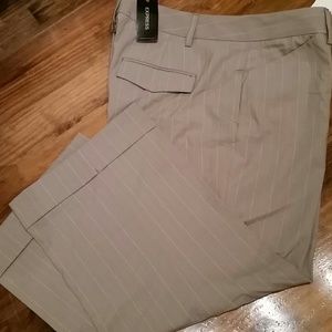 Express pants