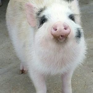 Meet your Posher, Gina