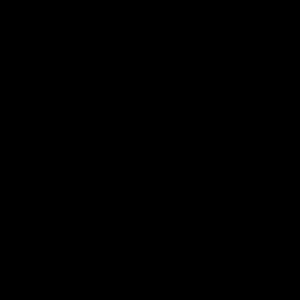 Meet your Posher, Bessie