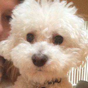 Meet your Posher, Jill