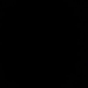 Meet your Posher, Ivan