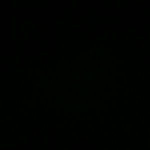 Meet your Posher, Mariny