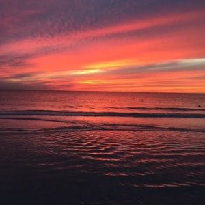 Meet your Posher, Bridget