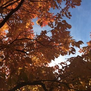 Meet your Posher, Jazzy