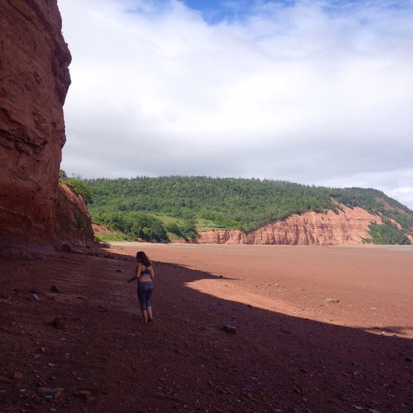 meet your posher ๐ฆ - Picture 4 of 4