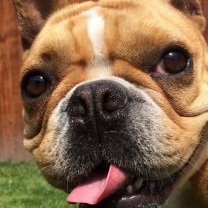 Meet your Posher, Lexy