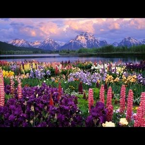 Meet your Posher, Veronica