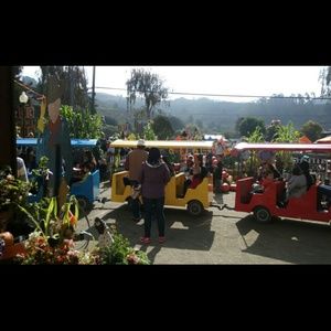 Meet your Posher, Rosie