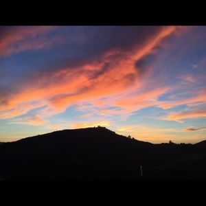 Meet your Posher, Leone