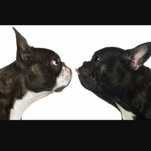 Meet your Posher, Anette