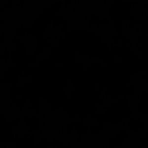 Meet your Posher, Trisha