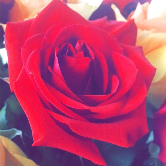 Meet your Posher, Gabriella - Picture 1 of 1