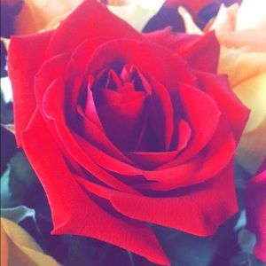 Meet your Posher, Gabriella