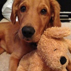 Meet your Posher, Bobbi