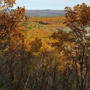 Meet your Posher, Fernando