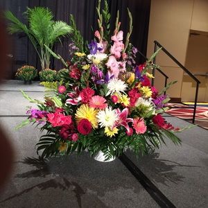 Meet your Posher, Mabel