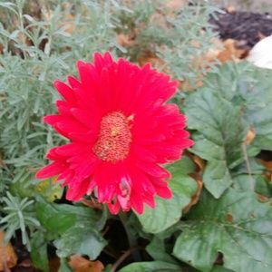 Meet your Posher, Jonie