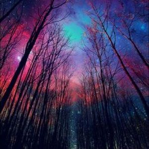 Meet your Posher, Savannah