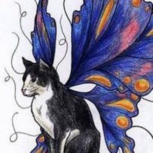 Meet your Posher, Kitty