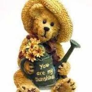 Meet your Posher, Katrina