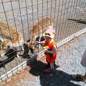 Meet your Posher, Richard