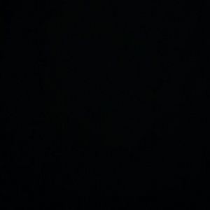 Meet your Posher, Fausto