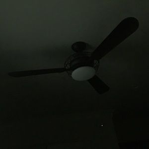 Meet your Posher, Ronit