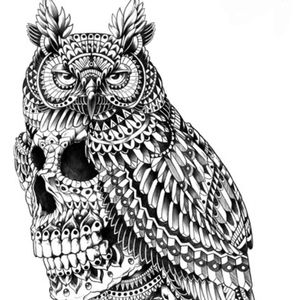 Meet your Posher, Lazer