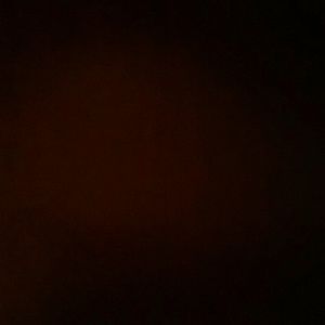 Meet your Posher, Antoanette