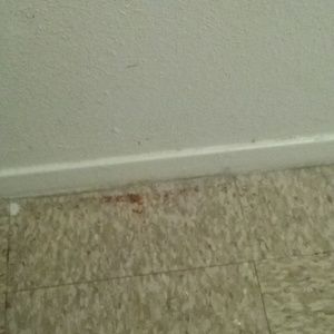 Meet your Posher, Liz