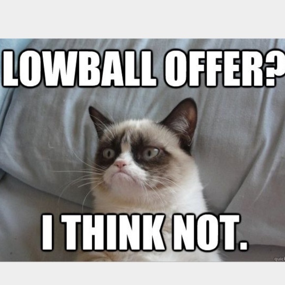 STOP WITH THE LOWBALLING ITS RUDE - Picture 3 of 4