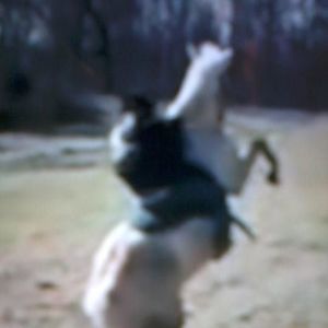 Meet your Posher, Savannah