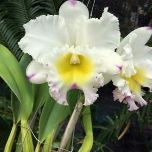 Meet your Posher, Nathalie