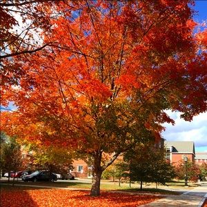 Meet your Posher, Mikayla