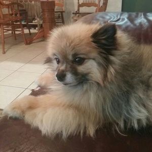 Meet your Posher, Sandra