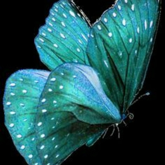 Meet your Posher, Debbie - Picture 1 of 1