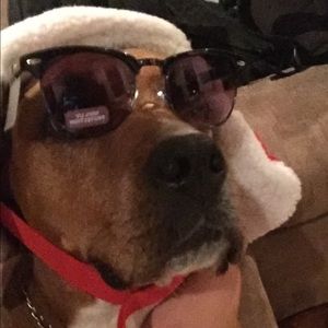 Meet your Posher, Brandi