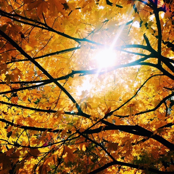 Meet your Posher, Maura