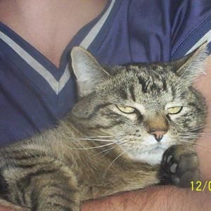 Meet your Posher, Julia