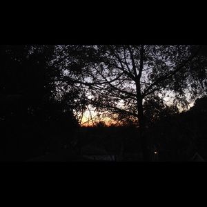 Meet your Posher, Yvonne