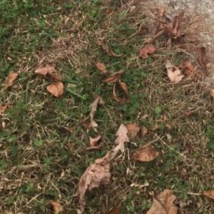 Meet your Posher, Mai