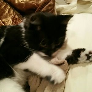 Meet your Posher, Hind