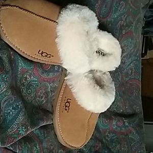Brand new in box never worn. Ugg slipper size 5.
